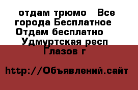 отдам трюмо - Все города Бесплатное » Отдам бесплатно   . Удмуртская респ.,Глазов г.